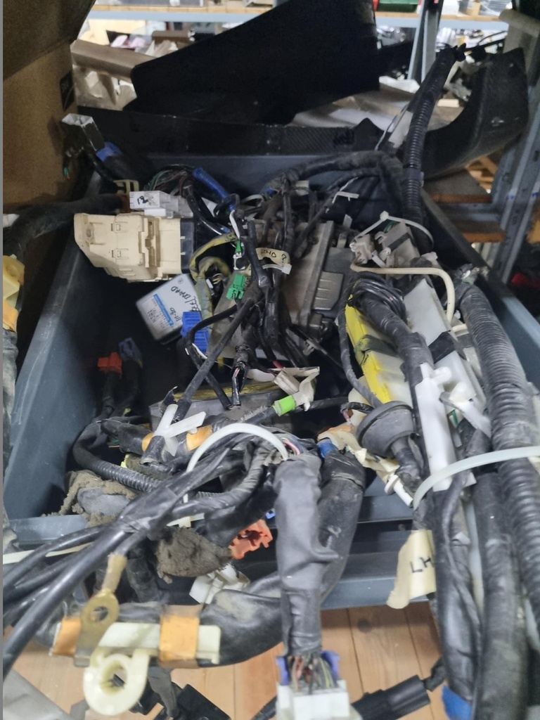 Engine Wire Harness